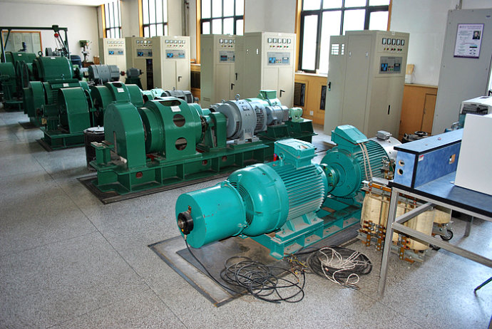 米林某热电厂使用我厂的YKK高压电机提供动力